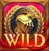 Wild Symbol
